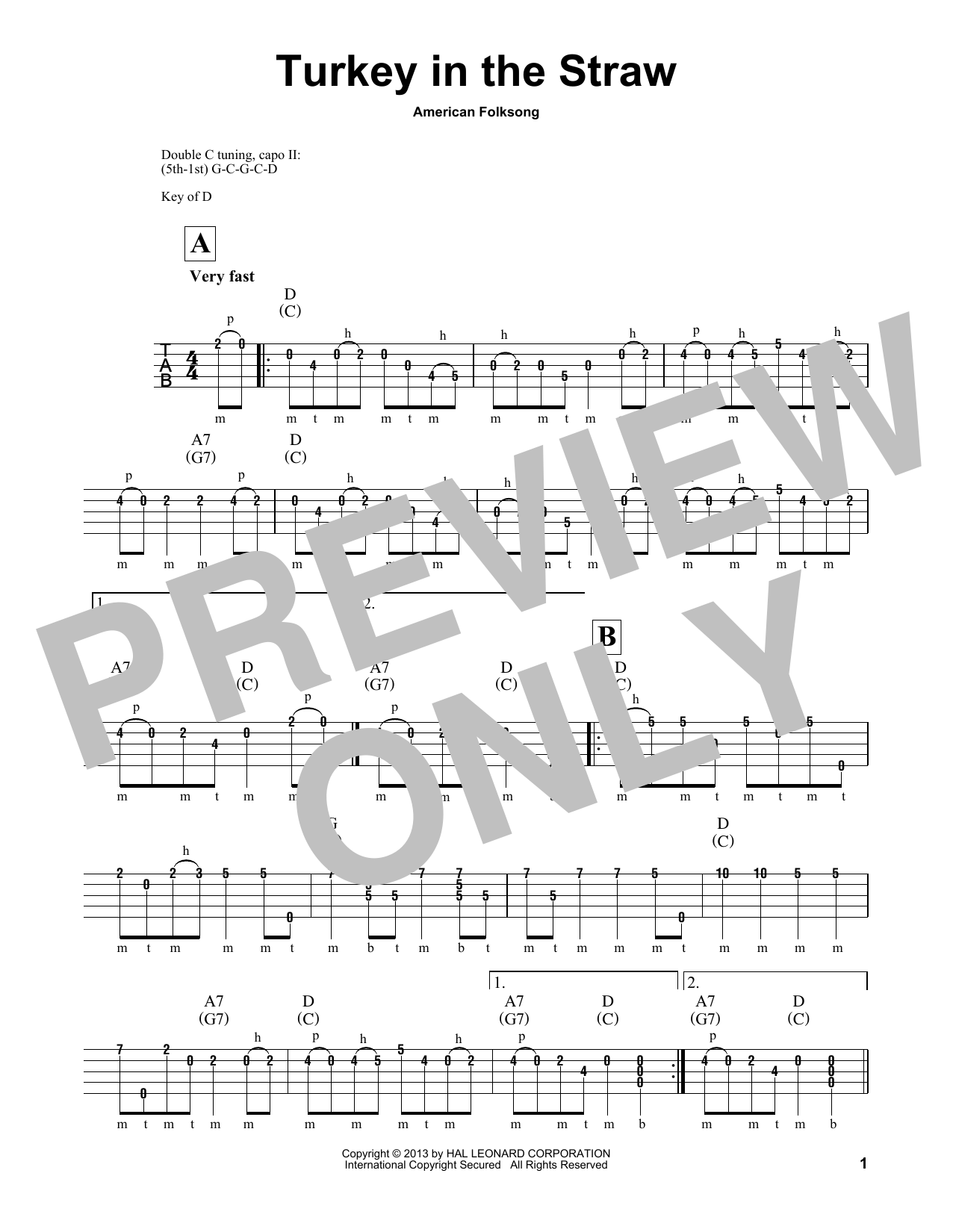 Produktgalerie: Seite 1 von 1 Turkey In The Straw, Michael Miles, Banjo