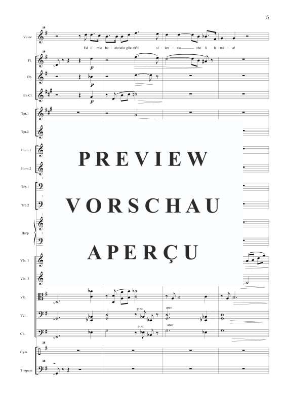 Produktgalerie: Seite 8 von 11 Nessun Dorma, , Tenor Solo und Orchester