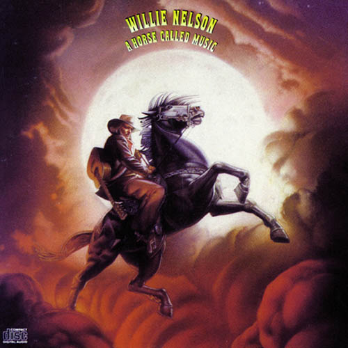 cover: Nothing I Can Do About It Now, Willie Nelson, Gitarre
