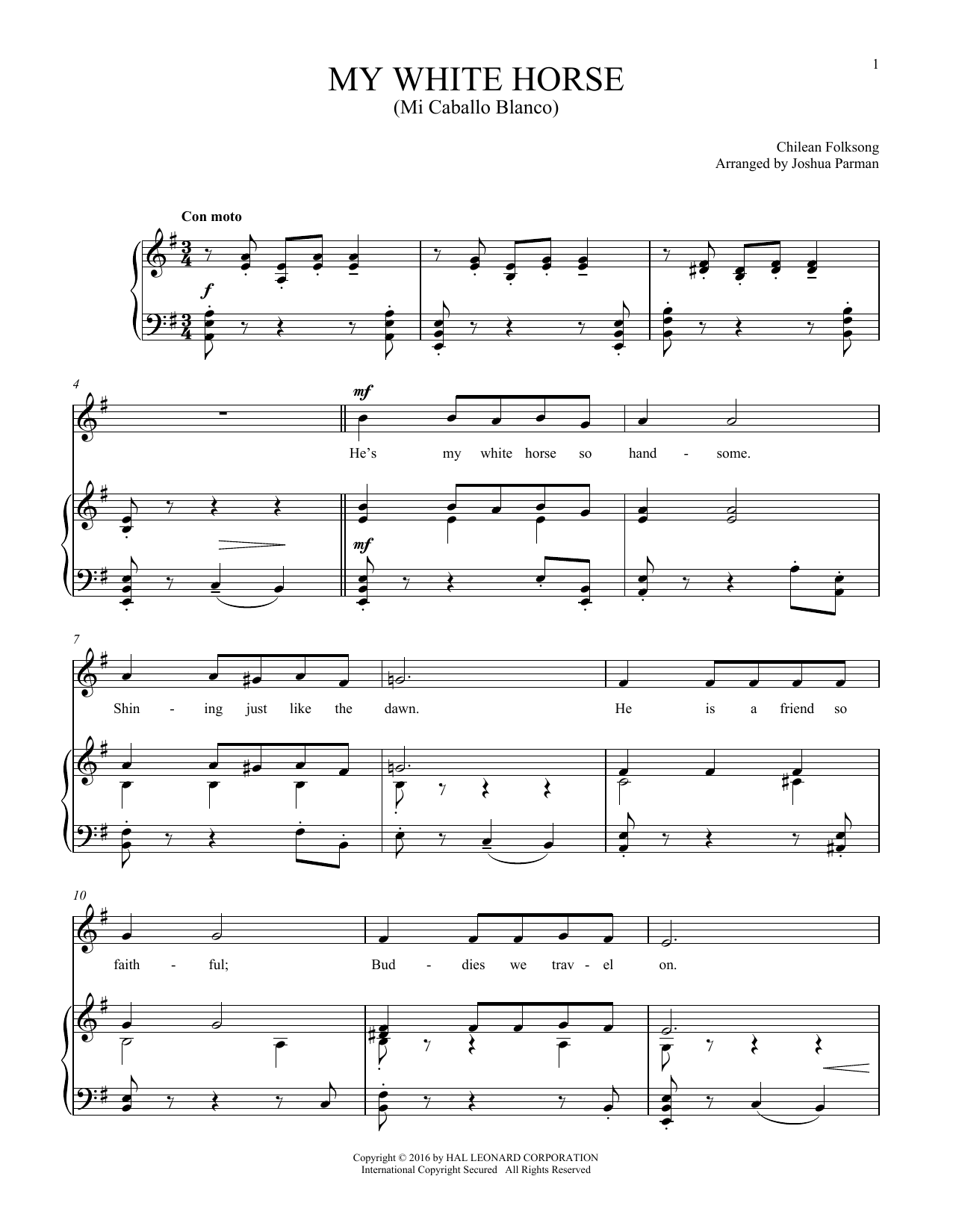 Produktbild zu: Mi Caballo Blanco (My White Horse)