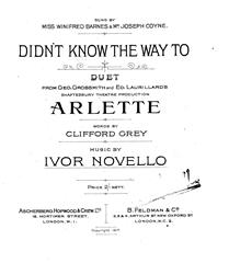 cover: Didn't Know The Way To (from 'Arlette'), Joseph Coyne, Gesang, Klavier
