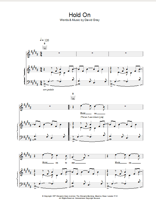 Produktgalerie: Seite 1 von 1 Hold On, David Gray, Gesang, Gitarre, Klavier