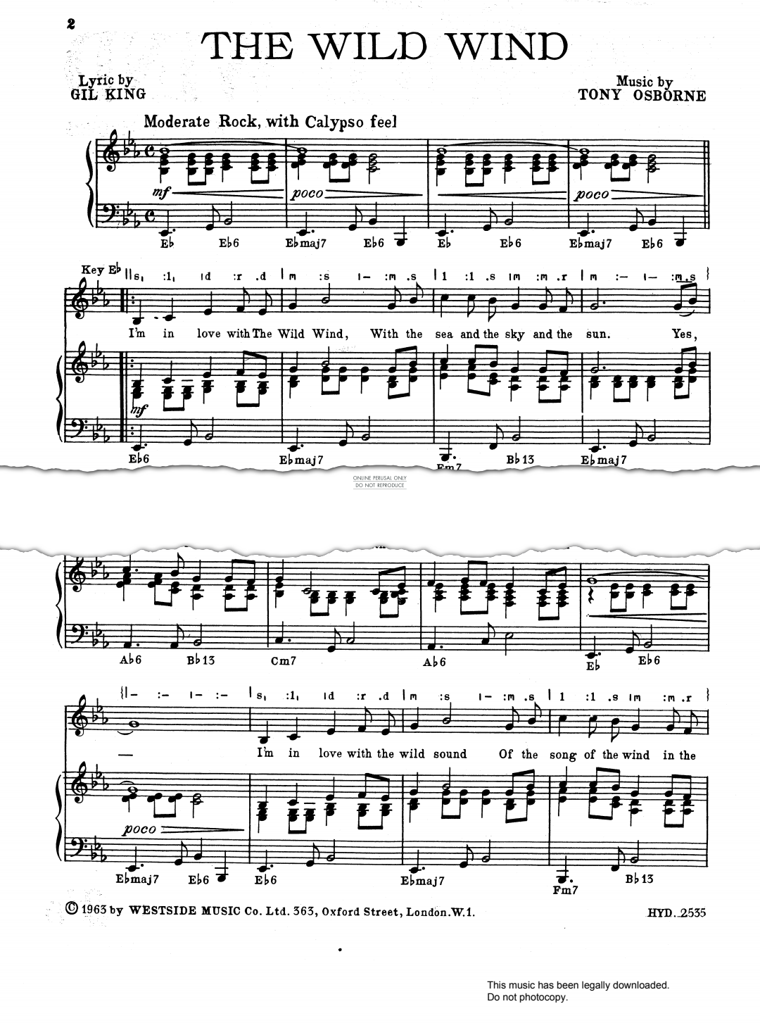 gallery: The Wild Wind, Danny Williams, Gesang, Gitarre, Klavier