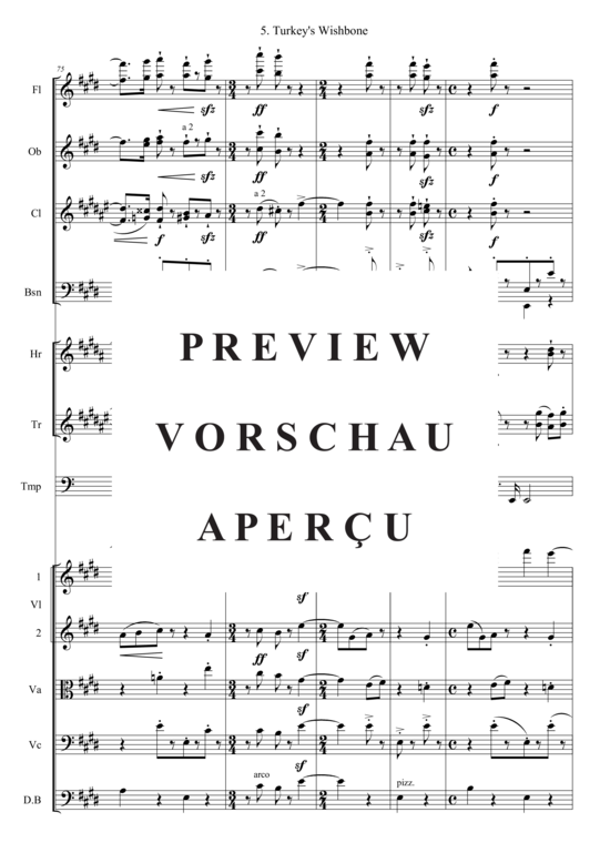 gallery: Turkey´s Wishbone (Kammer Orchester) , , (Bläser, Streicher + Pauken)