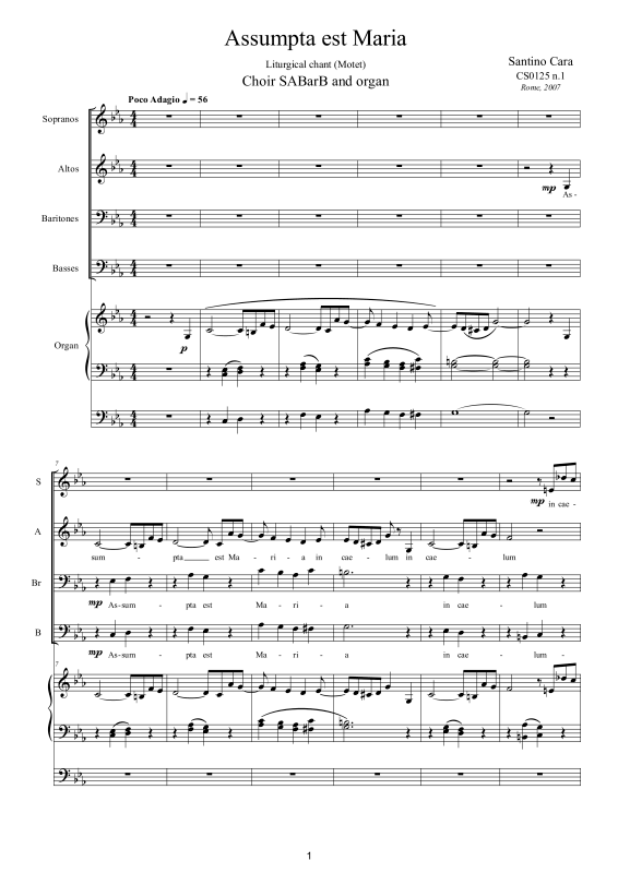 Produktbild zu: Assumpta est Maria - Liturgischer GesangSantino Cara