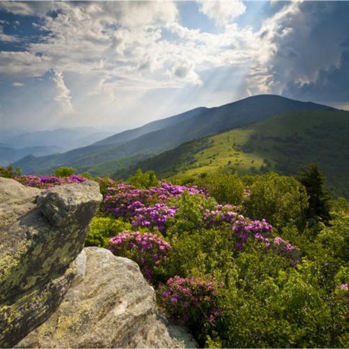 cover: Appalachian Psalm, Jon Paige, Chor