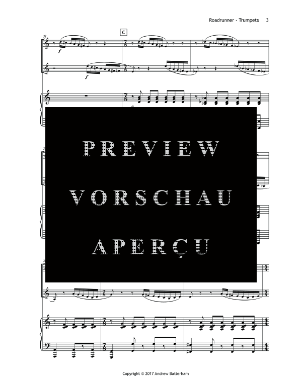 Produktgalerie: Seite 7 von 11 Roadrunner, , (Trio 2 Trompeten und Klavier)