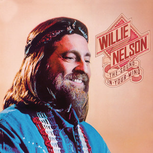 cover: If You've Got The Money (I've Got The Time), Willie Nelson, Gitarre