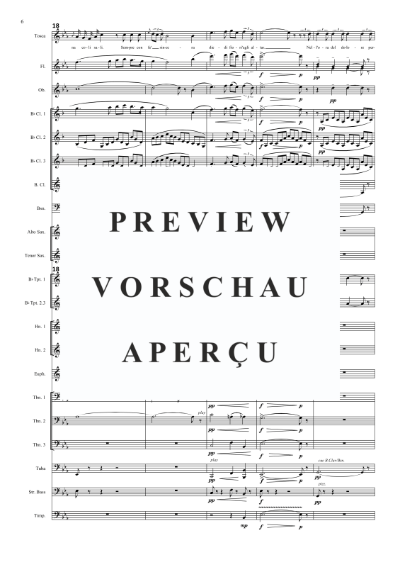Produktgalerie: Seite 7 von 11 Vissi d'arte, , Sopran Solo und Concert Band