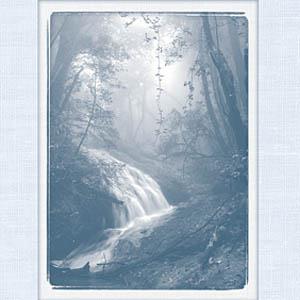 cover: Go In The Grace Of The Lord, James Barnard