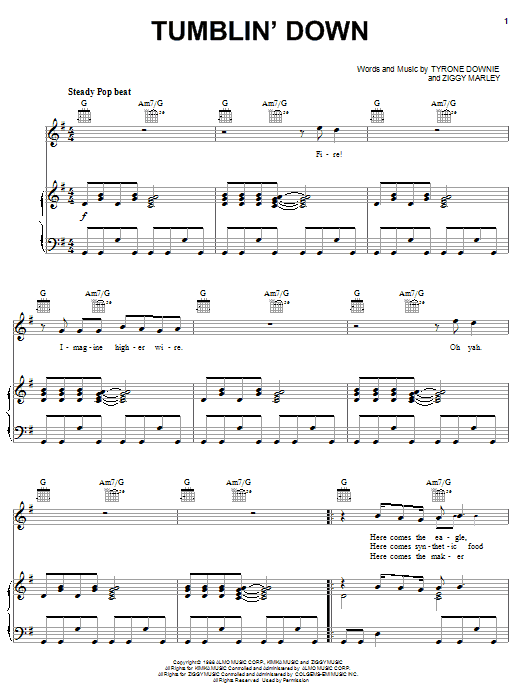 Produktbild zu: Tumblin' Down