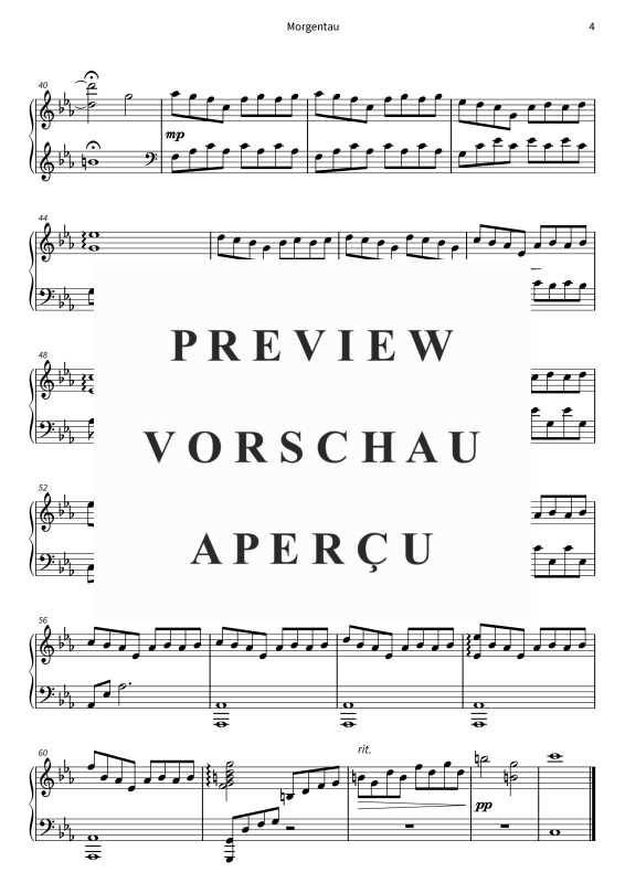 gallery: Morgentau - from the album The Valley, Niklas Blumenthaler, (Klavier Solo)