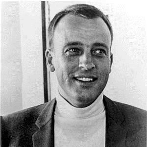 cover: Flight Of The Foo Birds, Neal Hefti