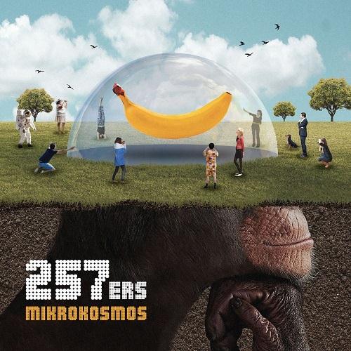 cover: Holz, 257ers