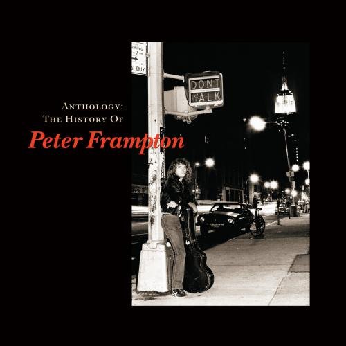 cover: I Don't Need No Doctor, Peter Frampton, Gesang, Gitarre, Klavier