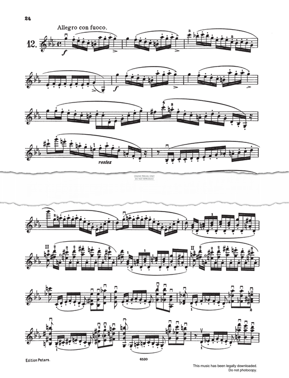 Produktgalerie: Seite 1 von 1 Etude 12 Allegro con fuoco (from 'Etudes Brilliantes Op.73'), Charles Dancla, Violine