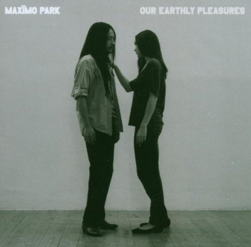cover: Books From Boxes, Maximo Park, Gitarre