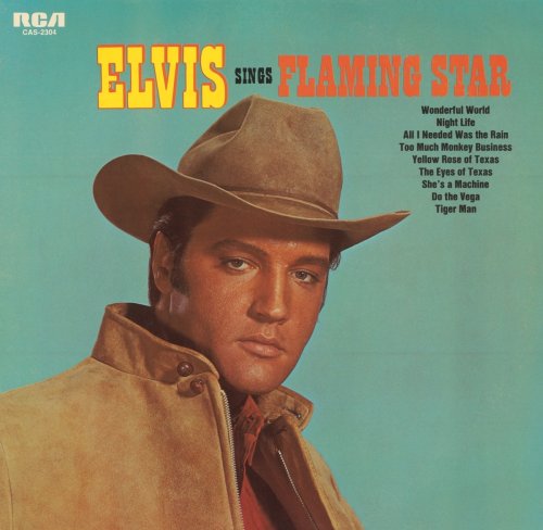 cover: Flaming Star, Elvis Presley, Gesang, Gitarre, Klavier