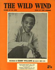 cover: The Wild Wind, Danny Williams, Gesang, Gitarre, Klavier