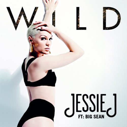 cover: Wild, Jessie J, Gesang, Gitarre, Klavier