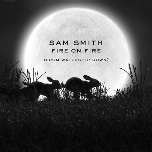 cover: Fire On Fire (from Watership Down), Sam Smith, Gesang, Gitarre, Klavier