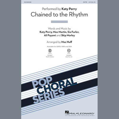 Produktbild zu: Chained To The Rhythm
