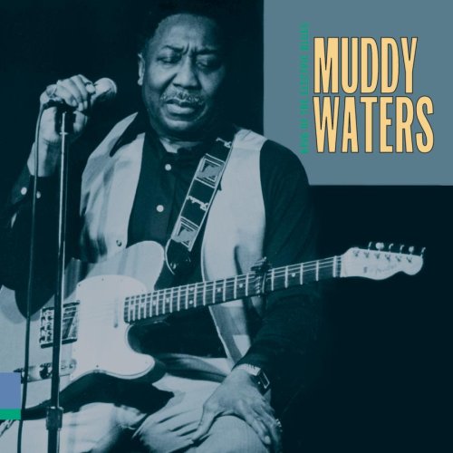 cover: Baby Please Don't Go, Muddy Waters