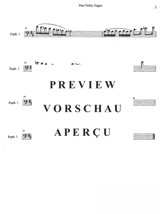 gallery: Chorale Prelude and Fugue on Puer Nobis , , (Tuba Quartett EETT)