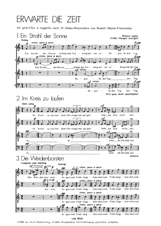 Product picture to: Erwarte die Zeit Widmar Hader (nach 12 Haiku-Dreizeilern)