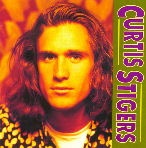 cover: I Wonder Why, Curtis Stigers, Gesang, Gitarre, Klavier
