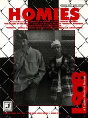 cover: Homies, Lighter Shade Of Brown, Gesang, Gitarre, Klavier
