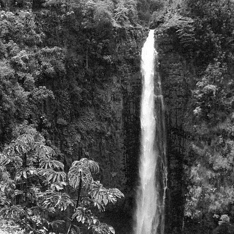 Product picture to: Akaka Falls