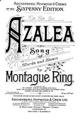 Produktbild zu: Azalea