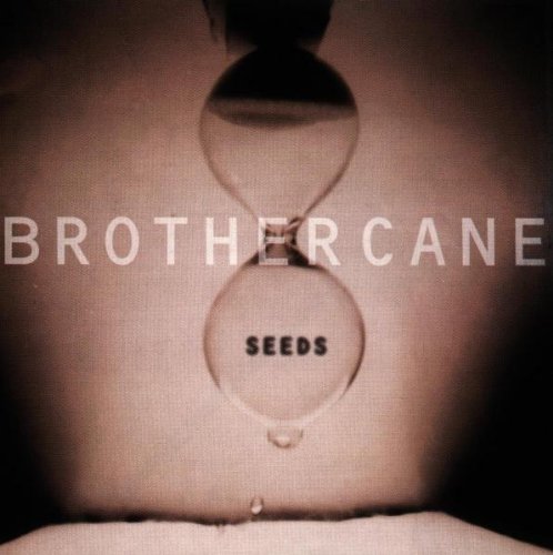 cover: And Fools Shine On, Brother Cane