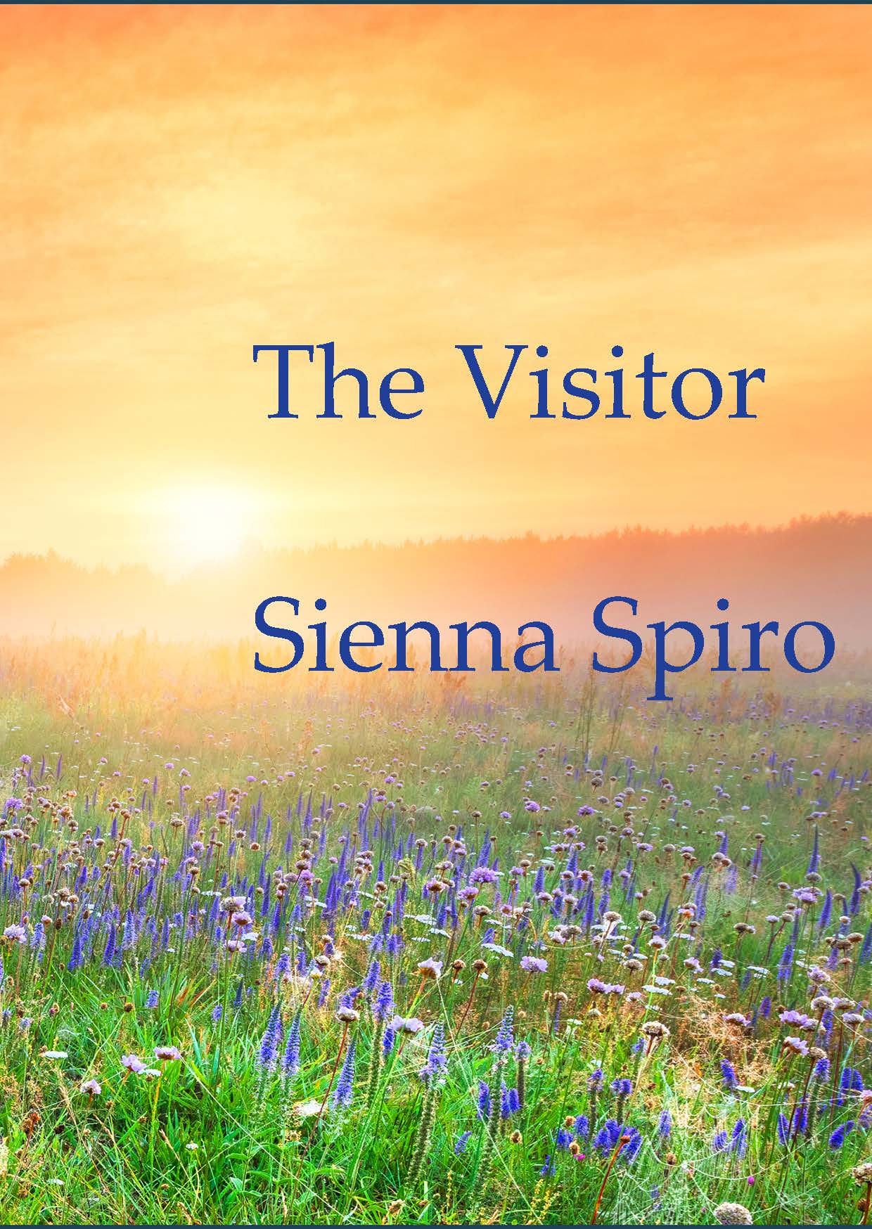 Produktbild zu: The Visitor