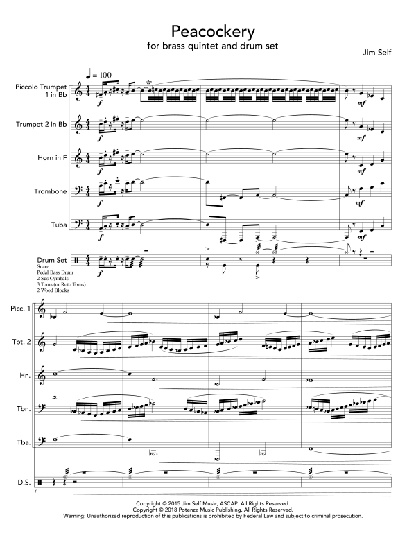 Produktgalerie: Seite 1 von 11 Peacockery, , (Blechbläser Quintett und Drum Set)