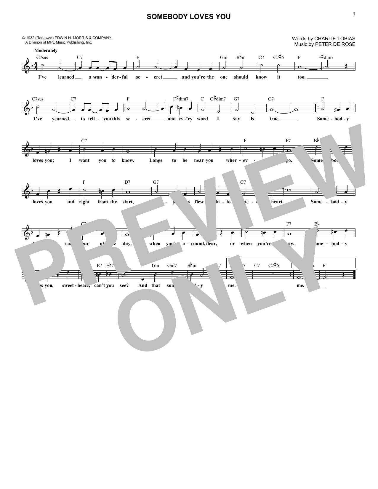 Produktbild zu: Somebody Loves You