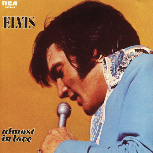 cover: A Little Less Conversation, Elvis Presley, Gitarre