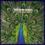 cover: Things Change, The Bluetones