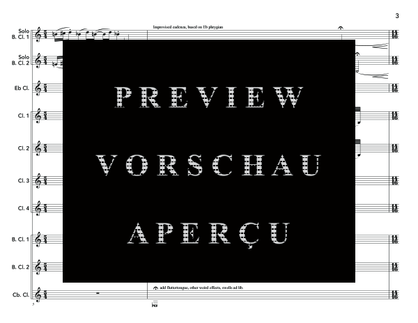 Produktgalerie: Seite 7 von 11 Bass Clarinet Double Concerto, , (Klarinetten Ensemble 2x Bass Klarinette und Klarinettenchor)