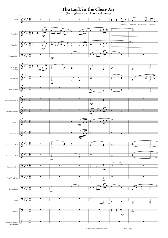 Produktbild zu: The Lark in the clear airTraditional