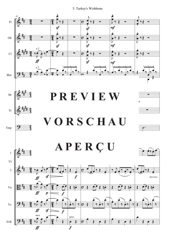 gallery: Turkey´s Wishbone (Kammer Orchester) , , (Bläser, Streicher + Pauken)