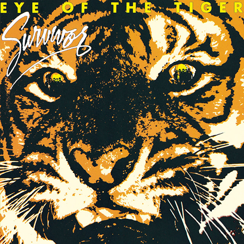 cover: Eye Of The Tiger, Survivor, Klavier