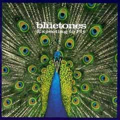 cover: Time And Again, The Bluetones, Gesang, Gitarre