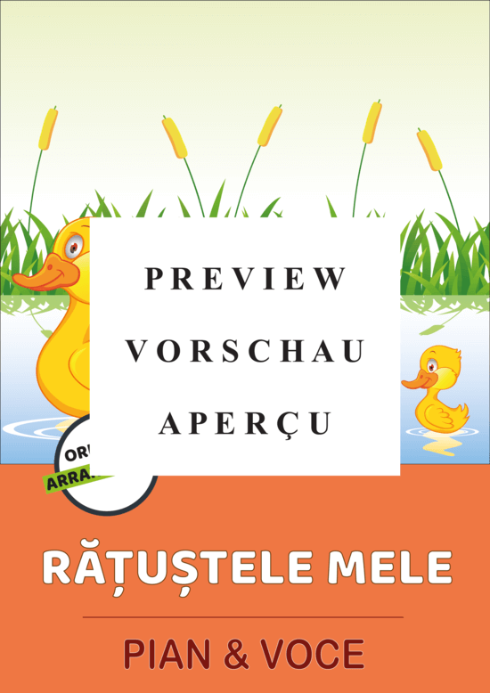 gallery: Ratustele Mele , , (Gesang + Klavier, Gitarre)