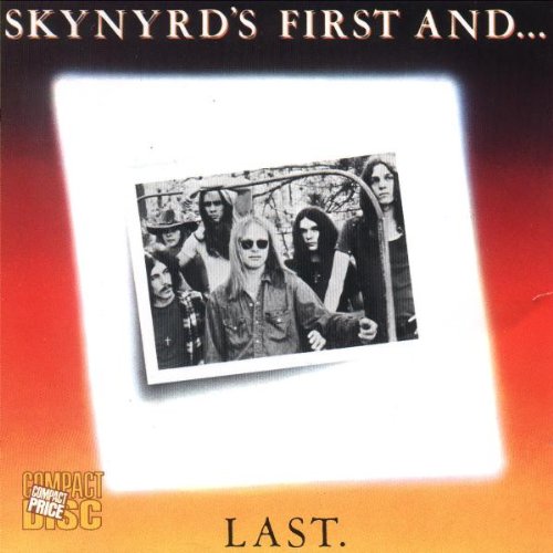 cover: Comin' Home, Lynyrd Skynyrd, Gesang, Gitarre, Klavier