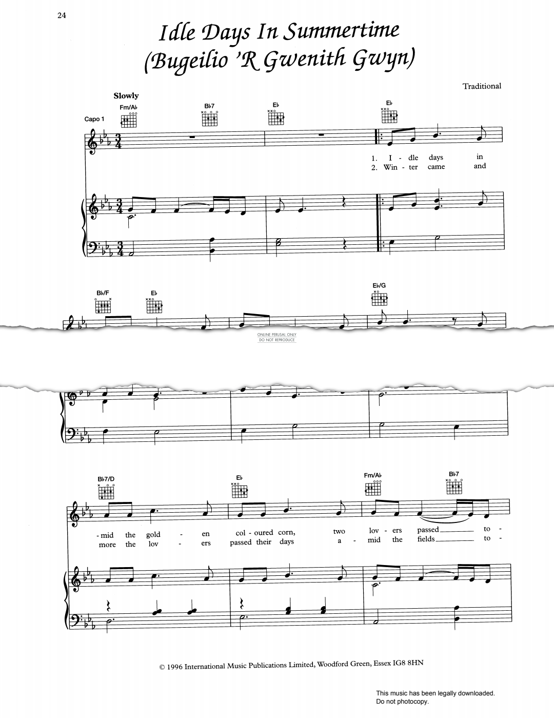 Produktbild zu: Idle Days In Summertime (Bugeilio 'R Gwenith Gwyn)