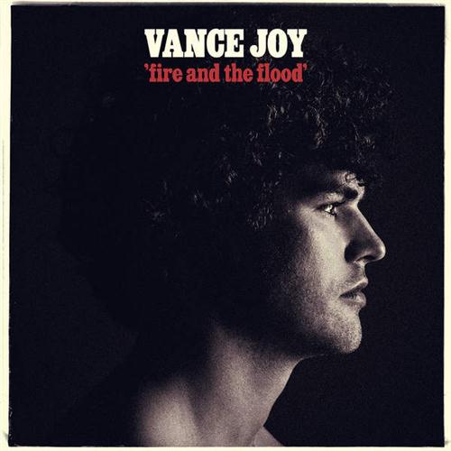 cover: Fire And The Flood, Vance Joy