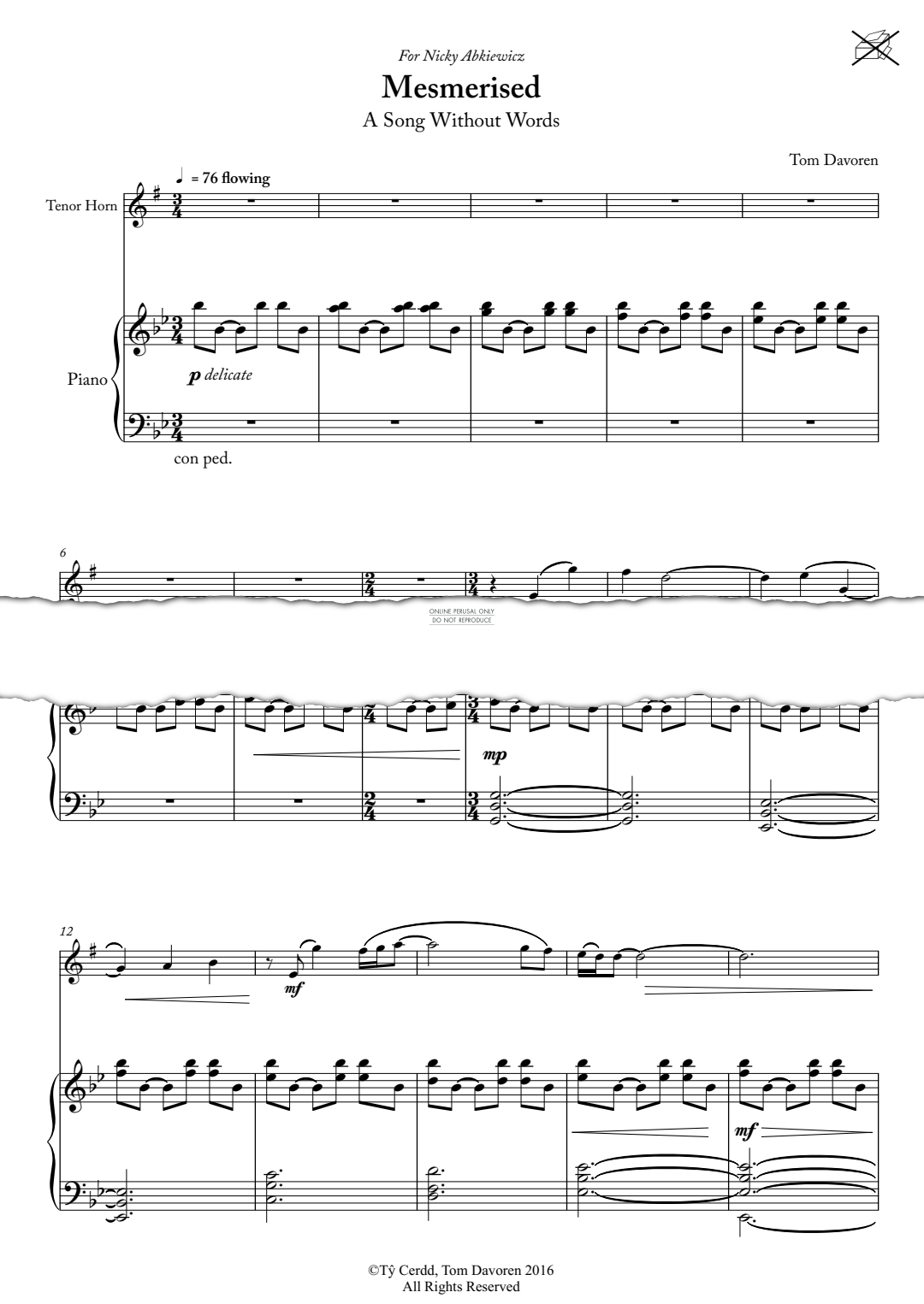 gallery: Mesmerised: A Song Without Words, Tom Davoren