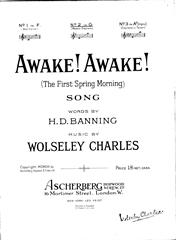Produktbild zu: Awake! Awake!